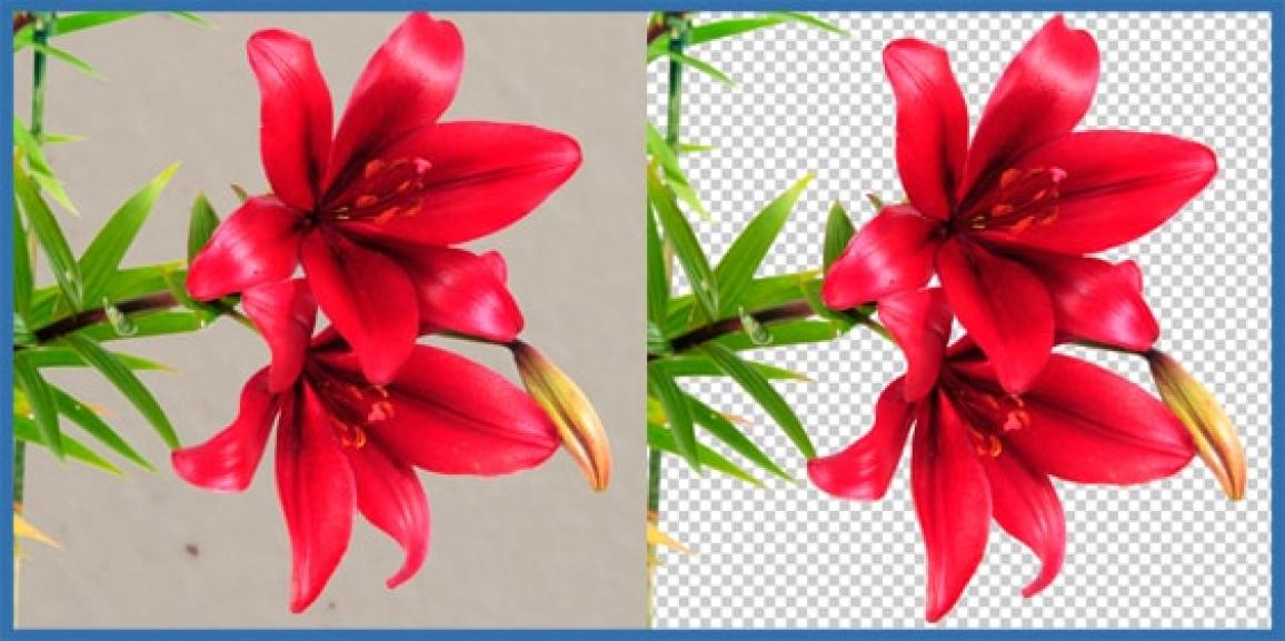 Clipping Path Services